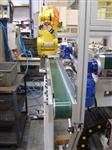 M.T. ZANETTI - FANUC - 6 Axis Loading and Unloading Robot for Transfer Machines Robotized Automation Applications 